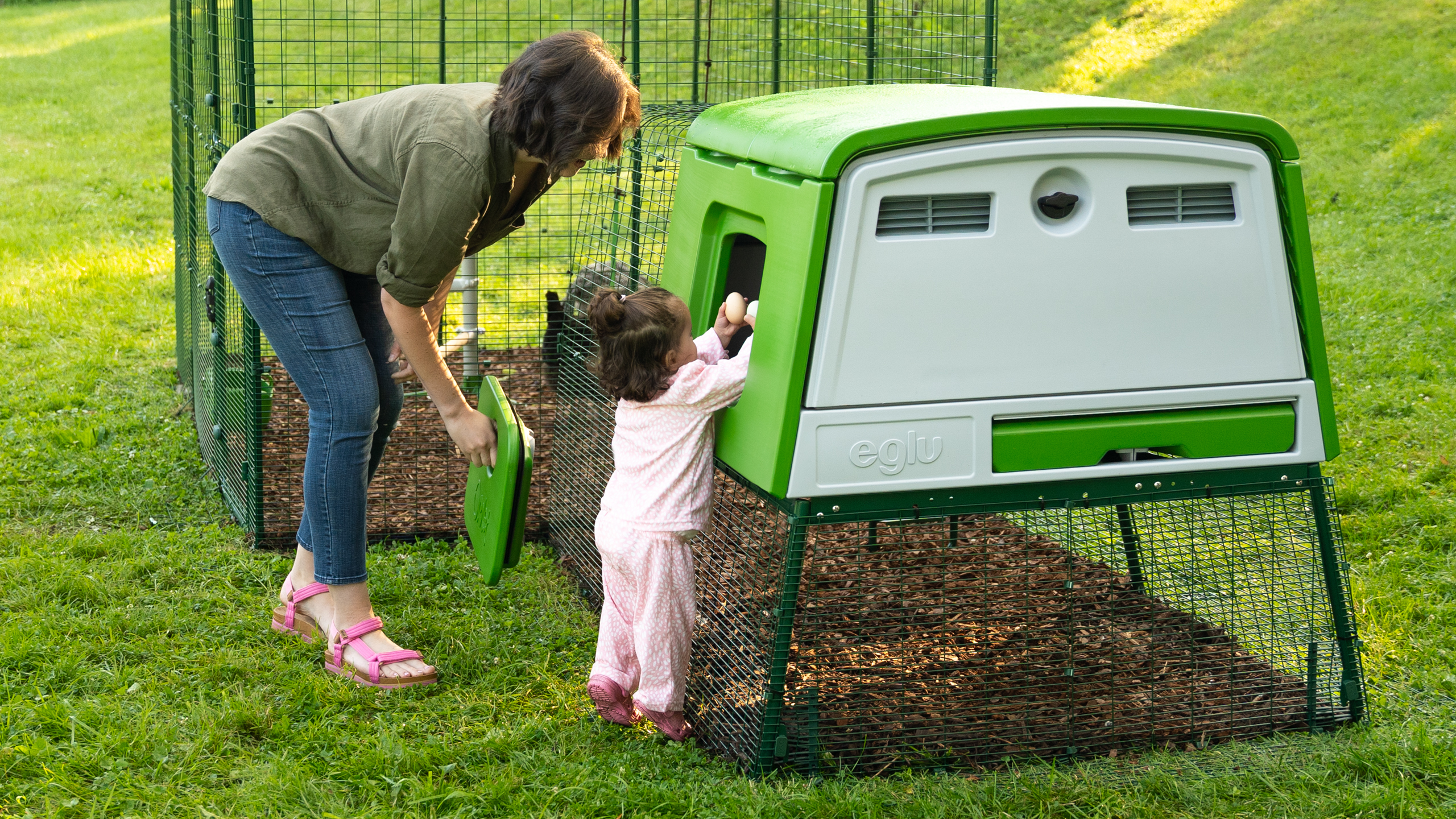 Girl collecting chicken eggs from the Omlet Eglu Cube Chicken Coop