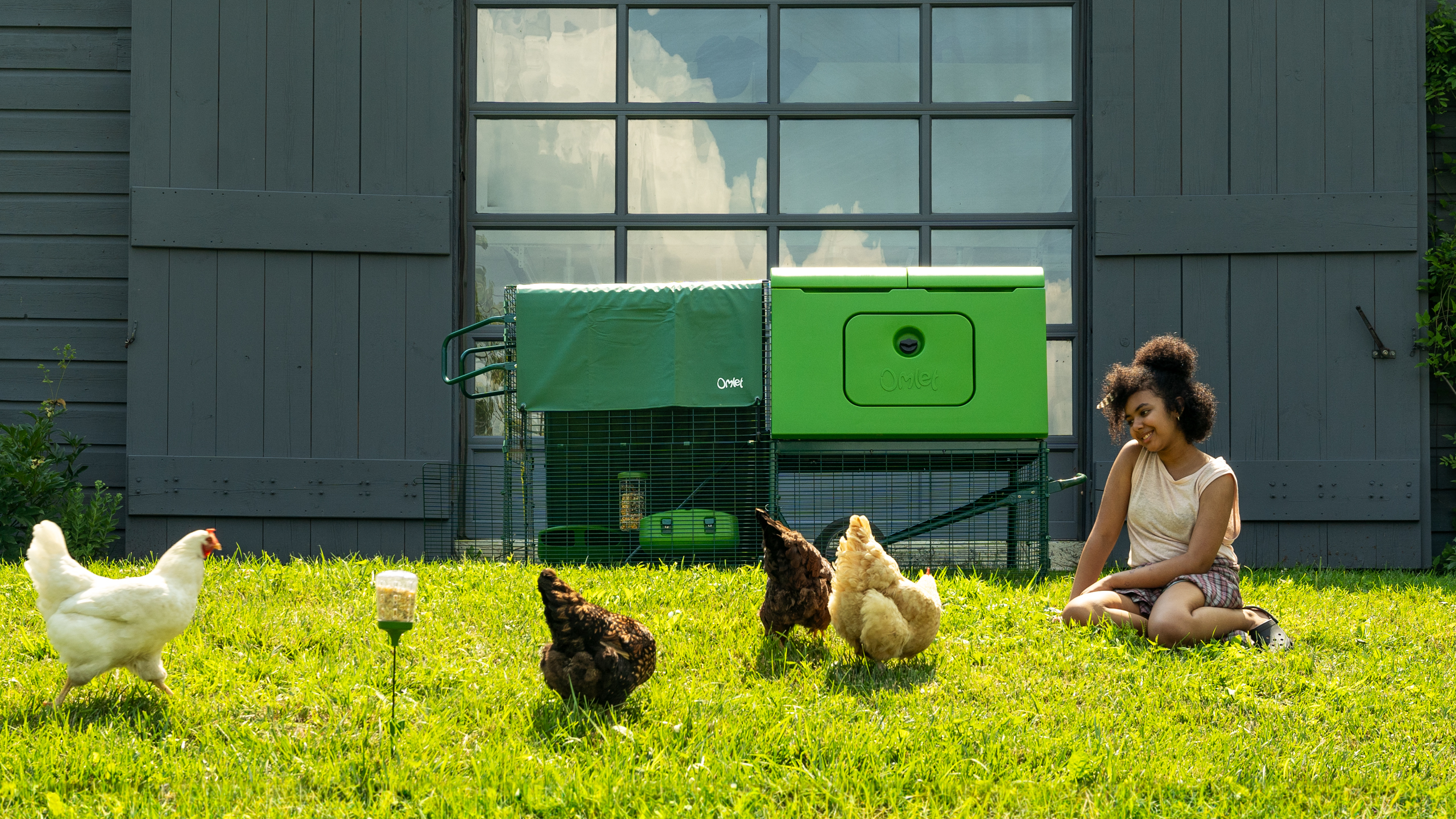 Woman with her flock and their Omlet Eglu Cube Chicken Coop