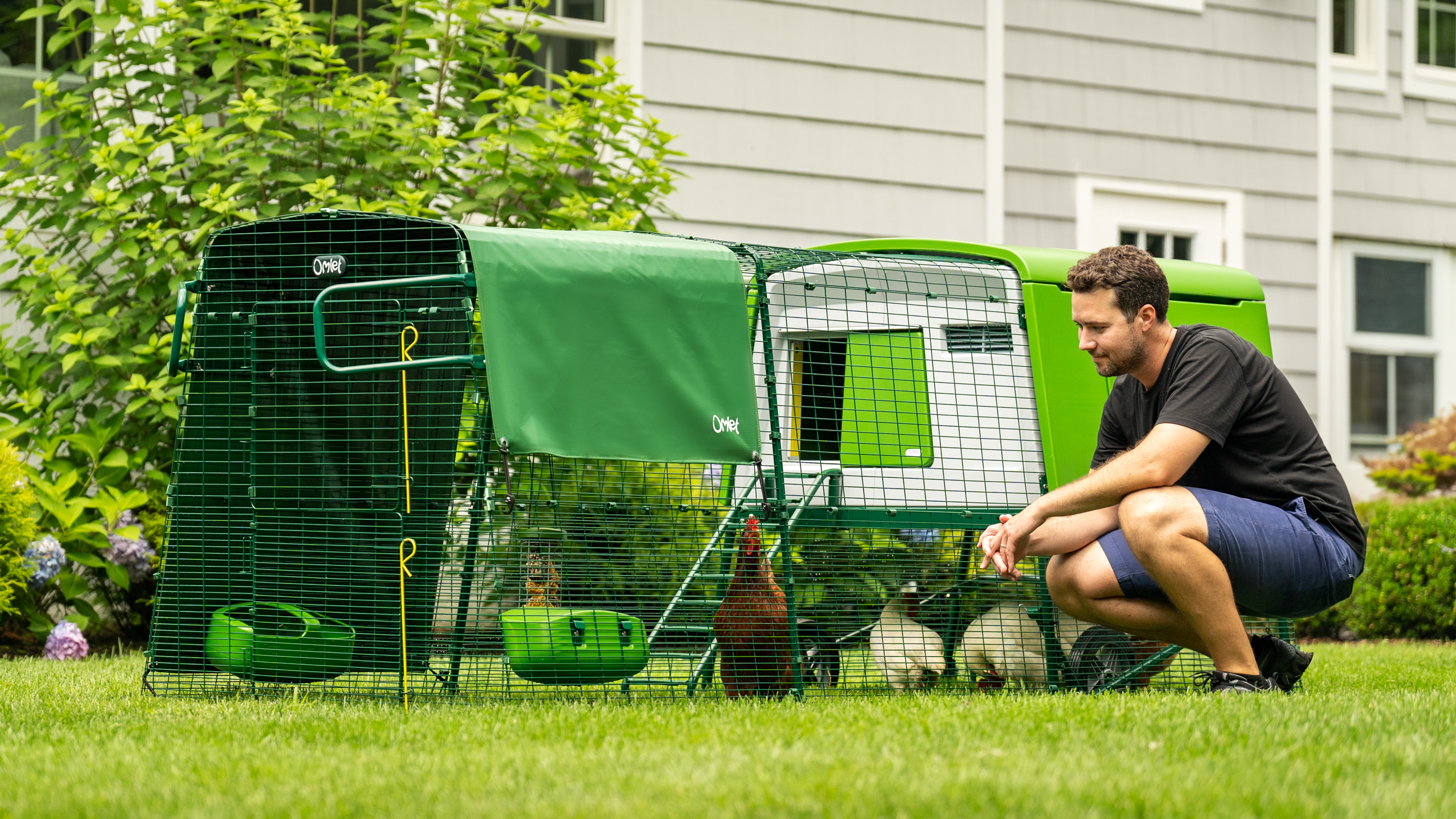 Man tending to his flock in their Omlet Eglu Cube Chicken Coop