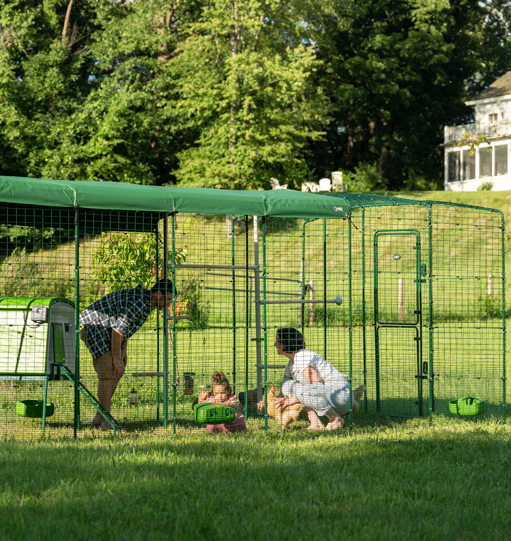 Family with their flock in the Omlet Walk In Chicken Run