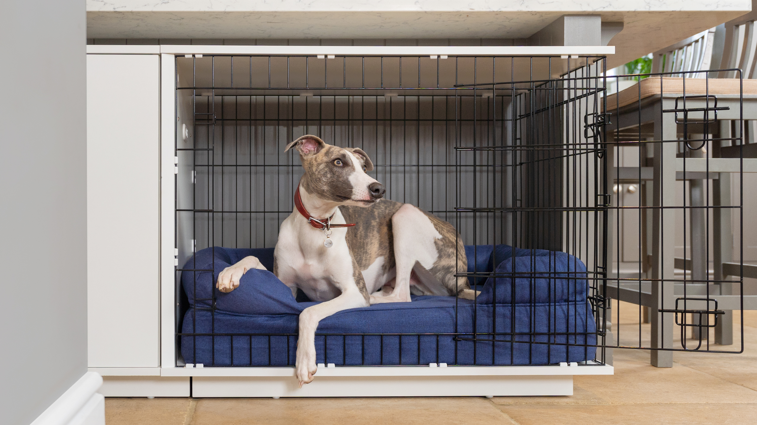 Dog settling in on the Omlet Bolster Dog bed in the Omlet Fido Studio Dog Crate