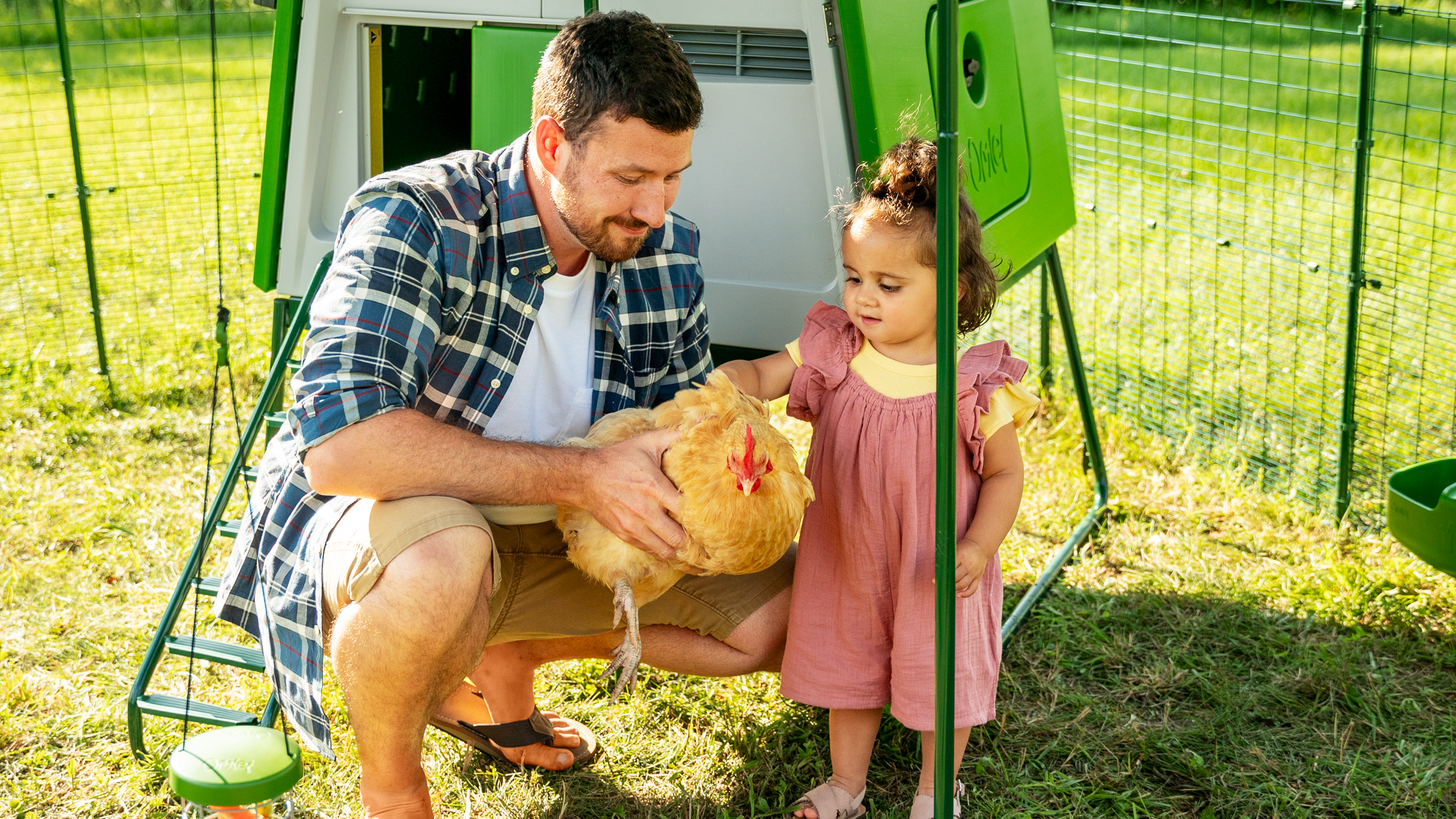 Man holding a chicken with a girl stroking it in the Omlet Walk In Chicken Run