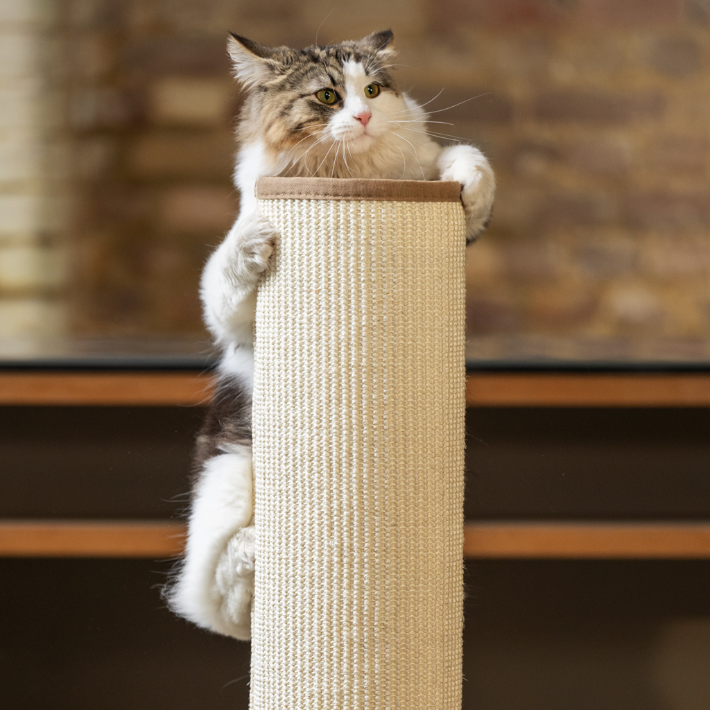 Sisal cat scratcher discount