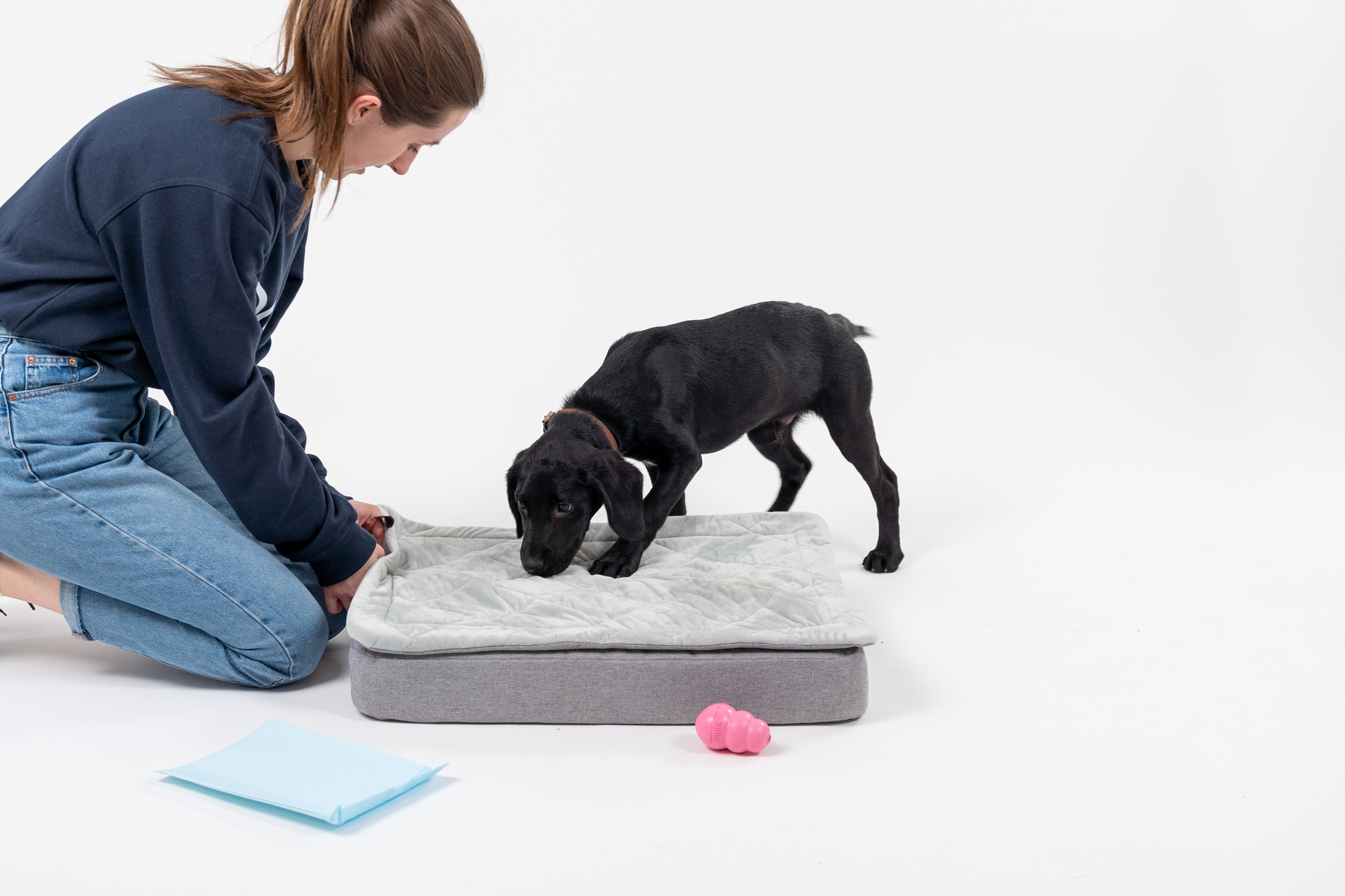 Labrador puppy on the Omlet Topology Dog Bed