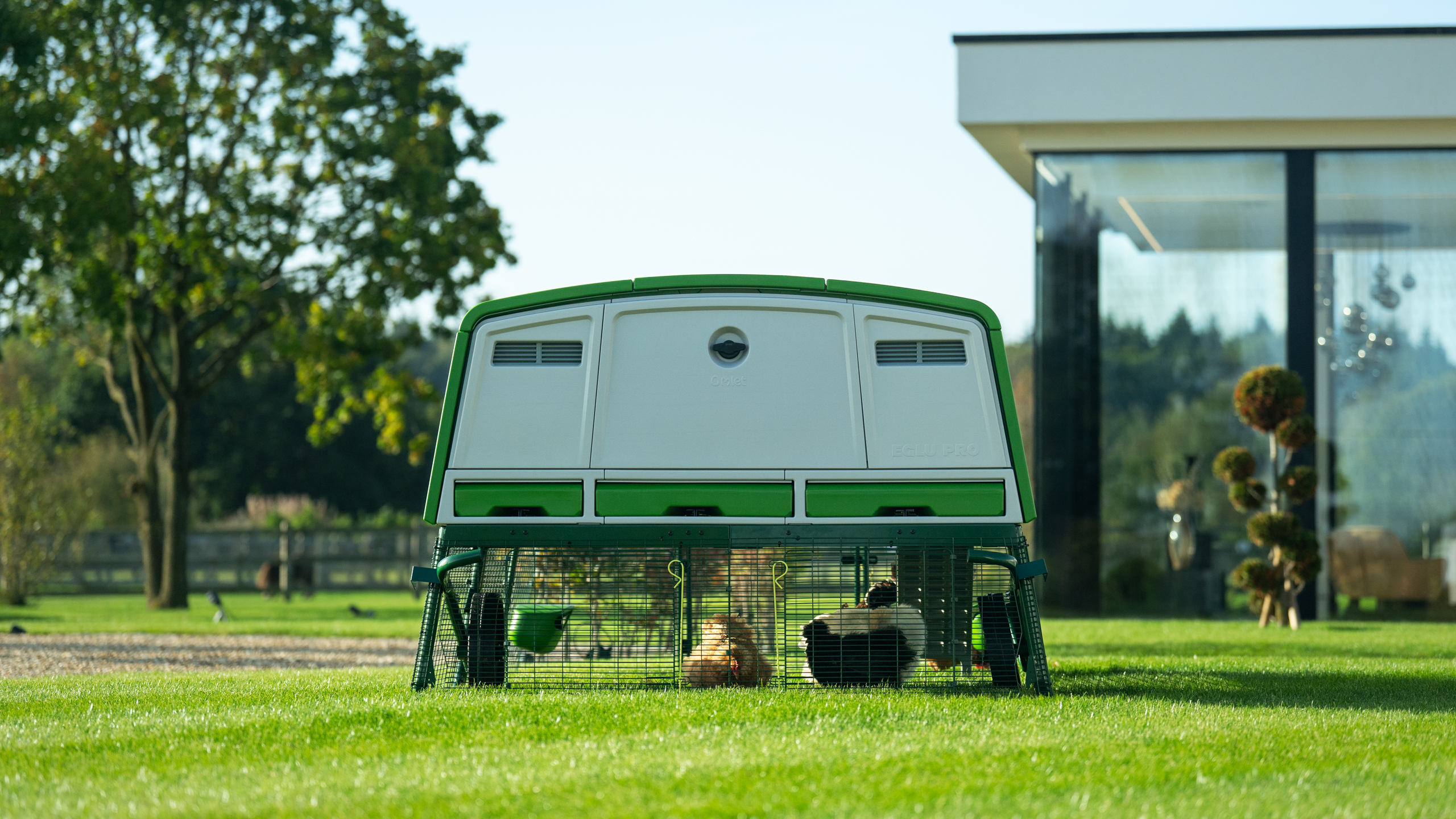 The Eglu Pro chicken coop set up in a backyard next to modern style house.