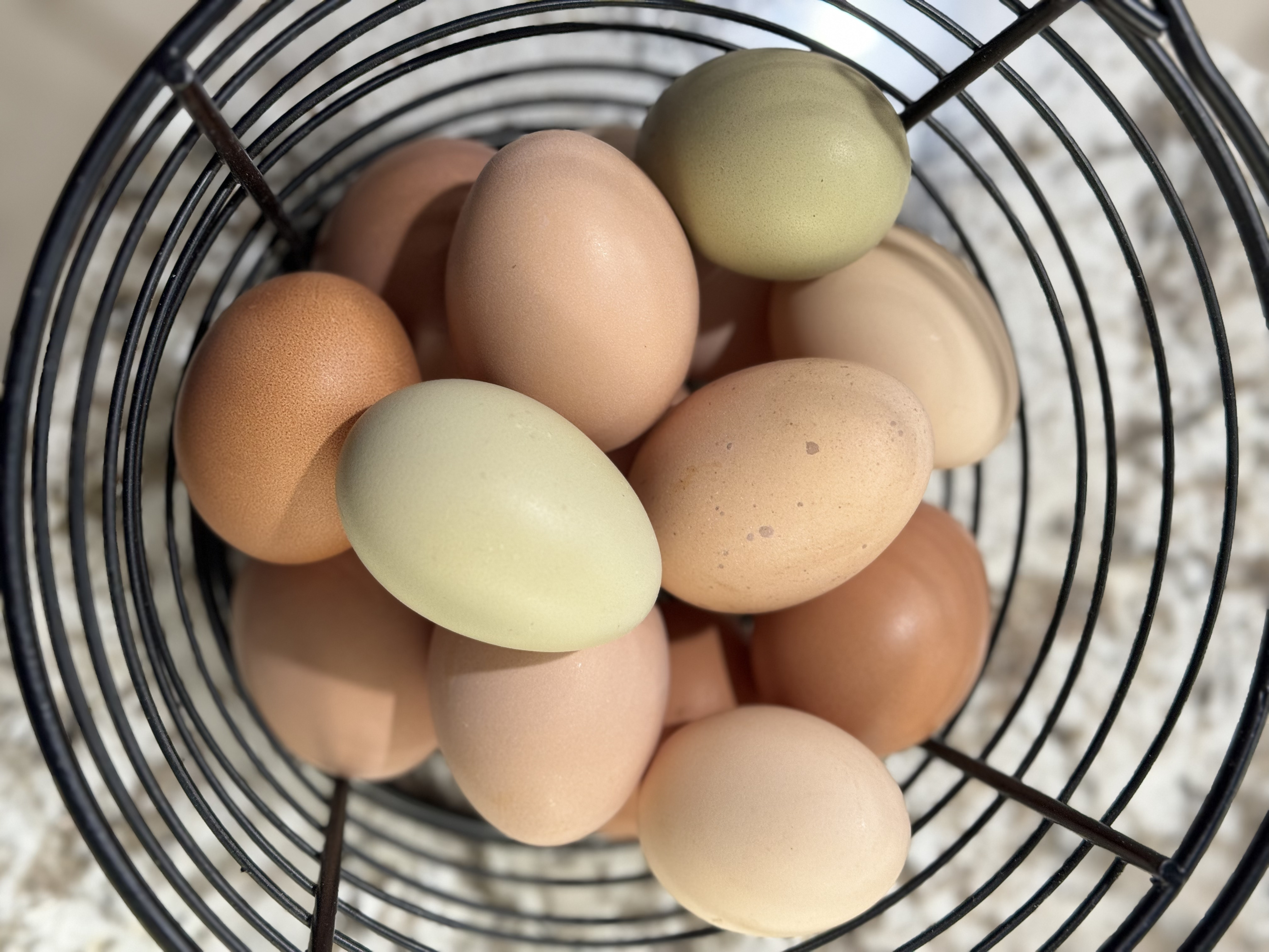 Colorful eggs in Omlet’s Egg Skelter
