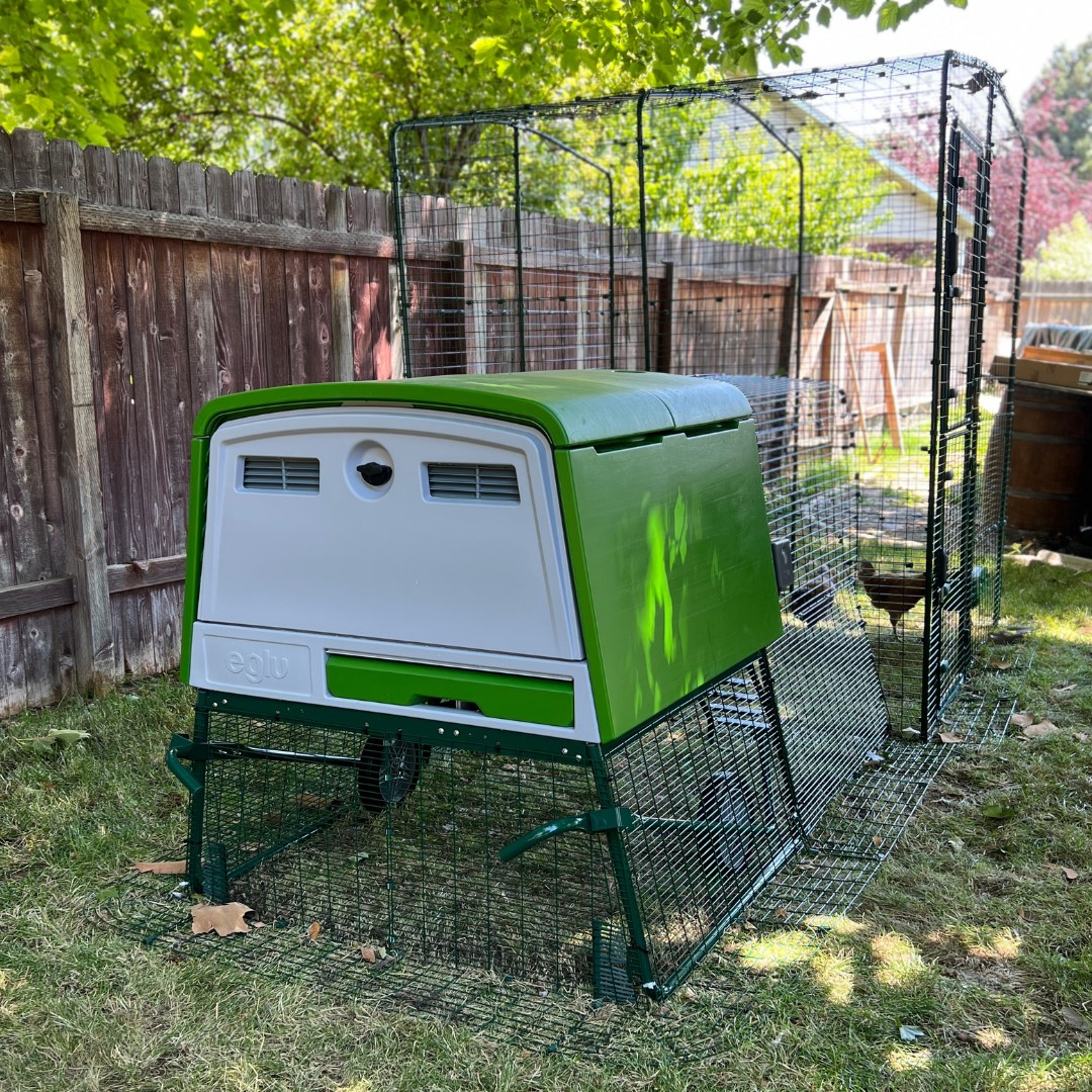 Green Eglu Cube Chicken Coop attached to large Walk In Chicken Run in a backyard in Idaho.