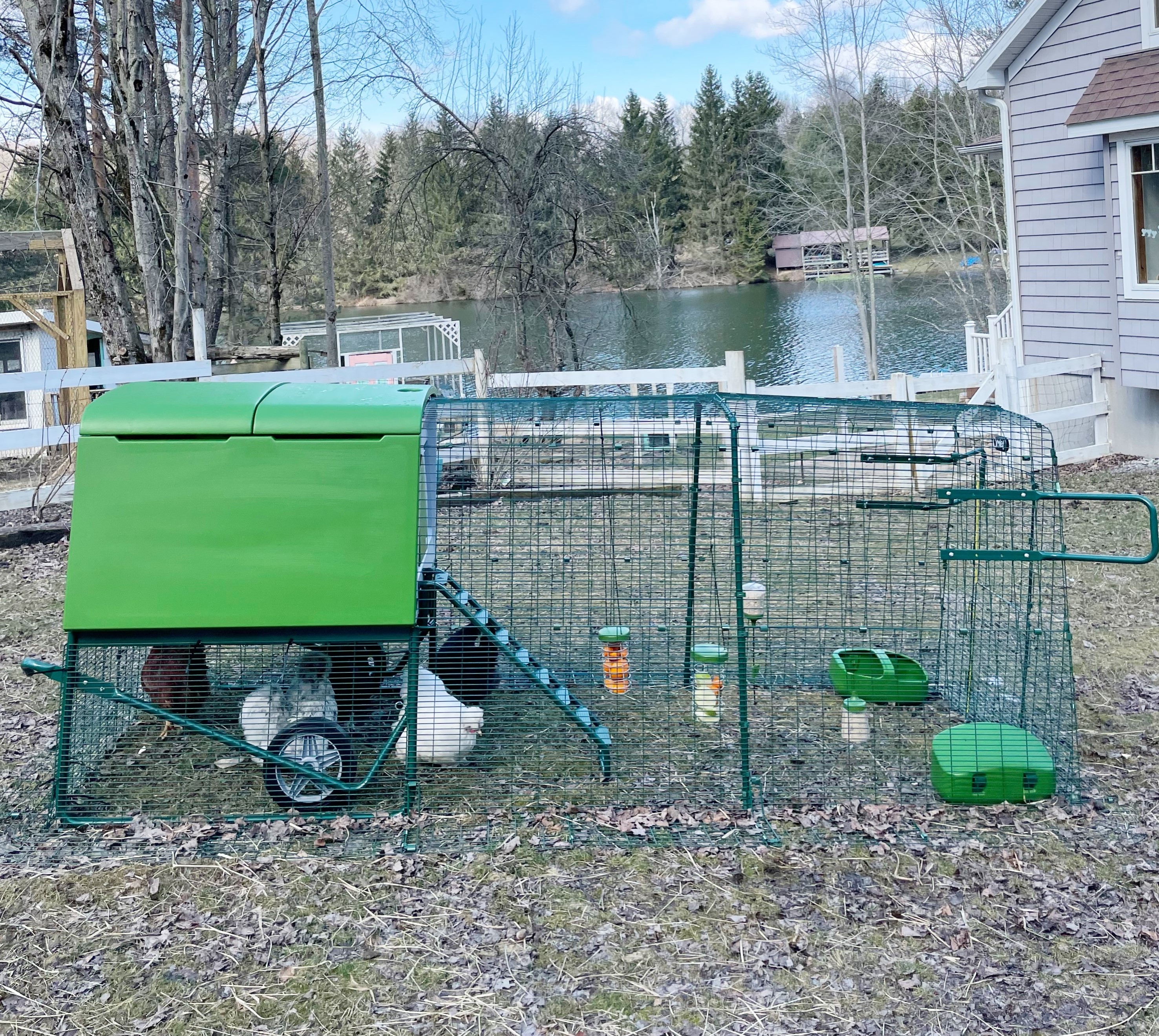 Green Eglu Cube with spacious run set up in front of lake in backyard in Pennsylvania.