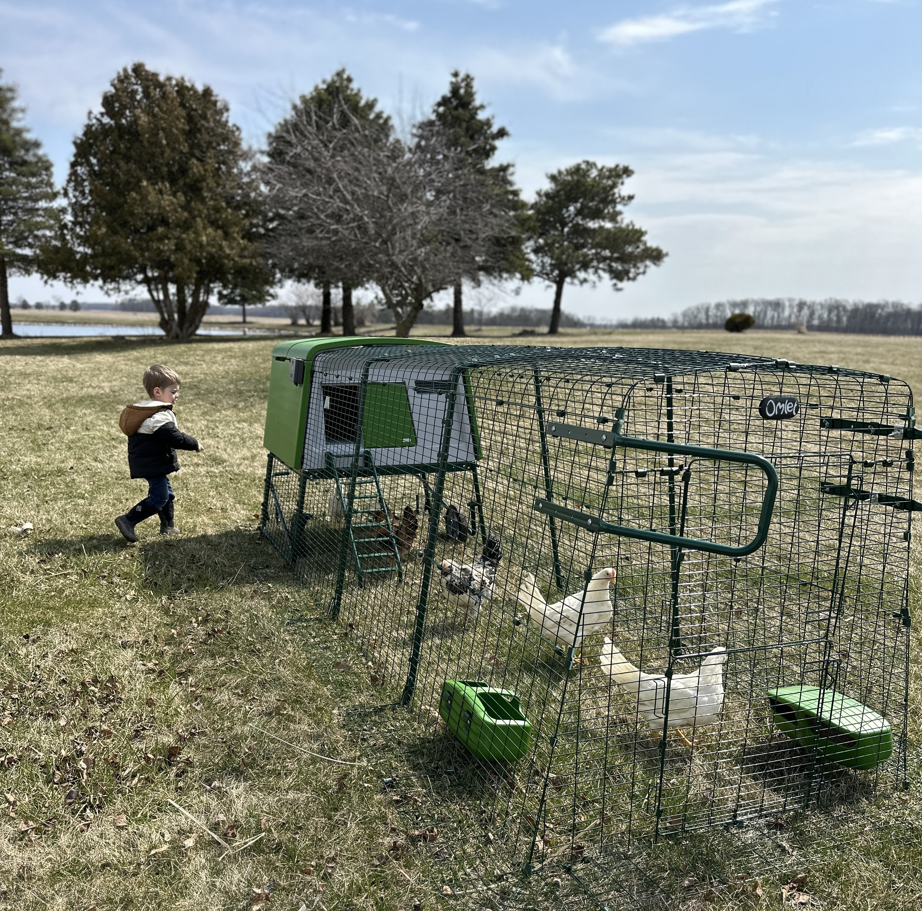 Boy running next to Eglu Cube chicken coop with spacious run in backyard in Ohio.