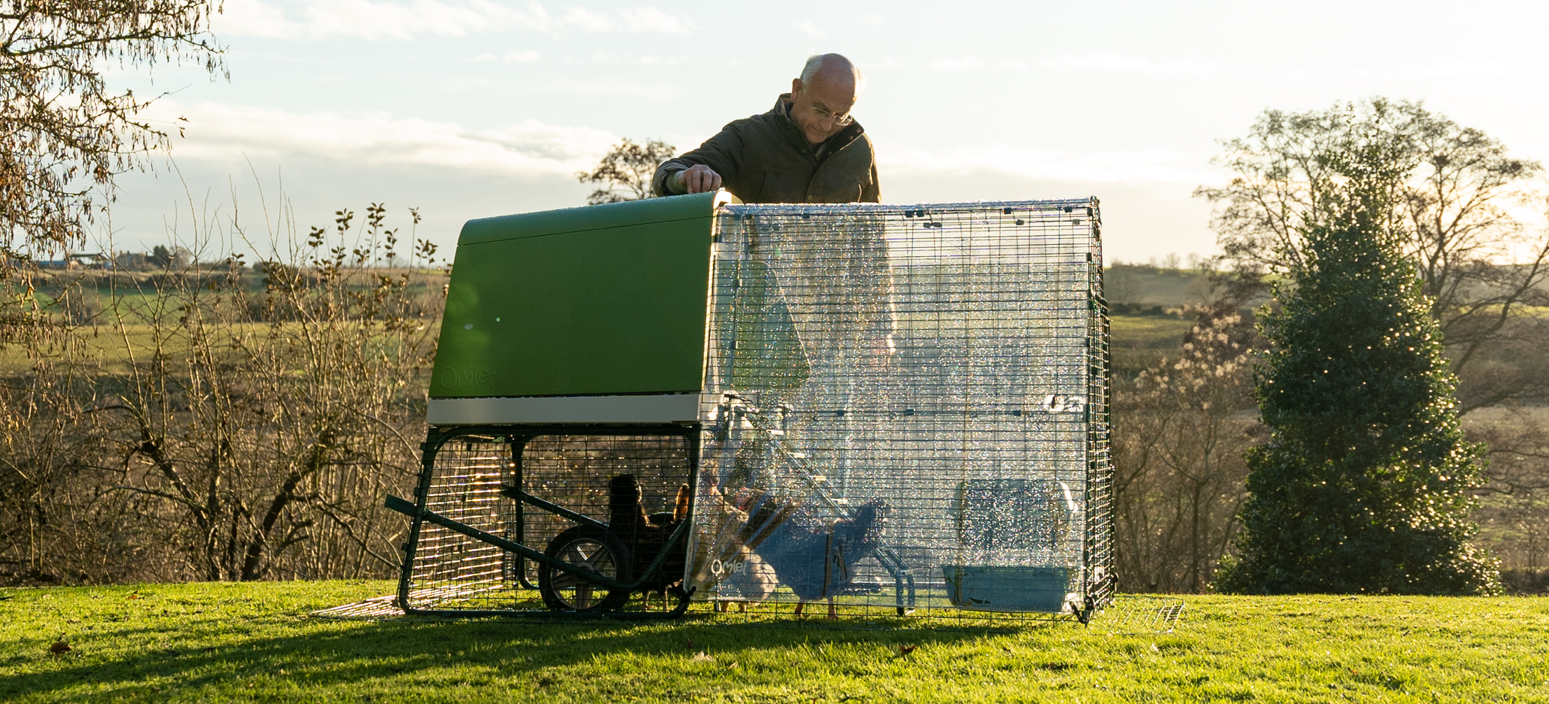 Man stood admiring his chickens inside Eglu Go UP raised chicken coop run with clear weather protection run cover.