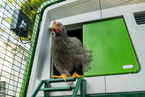 Smart Automatic Chicken Coop Door (Gray)