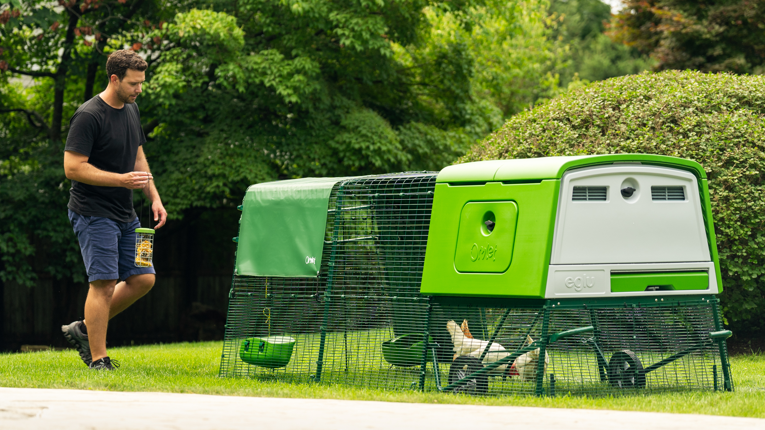 Man walking towards his chickens inside Eglu Cube chicken coop run.