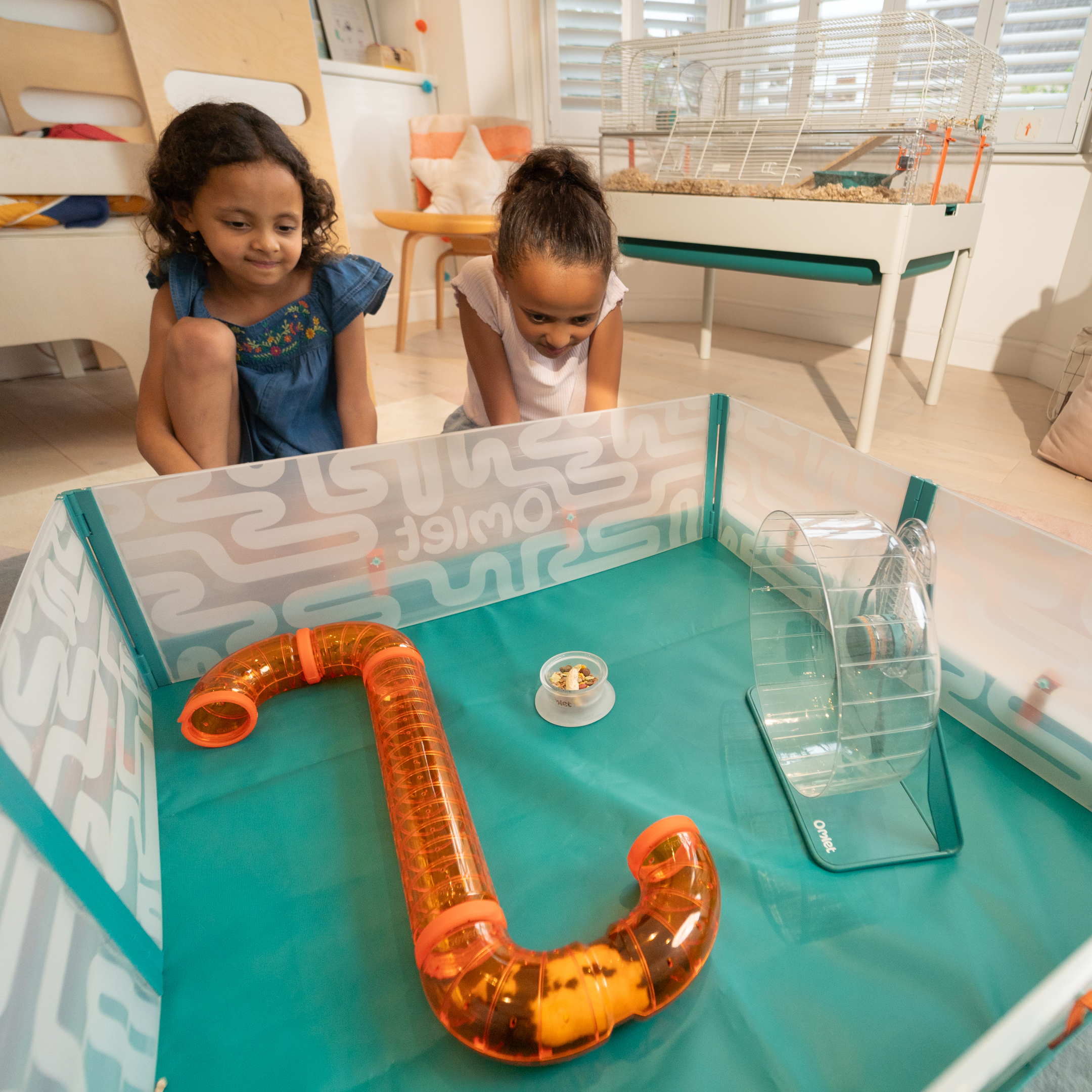 Hamster Wheel Accessories For Hamsters Online