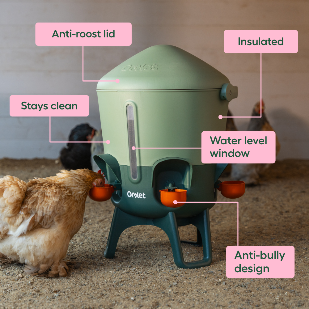 27 DIY Chicken Feeder And Waterer Plans And Ideas | The Poultry Guide - View #4