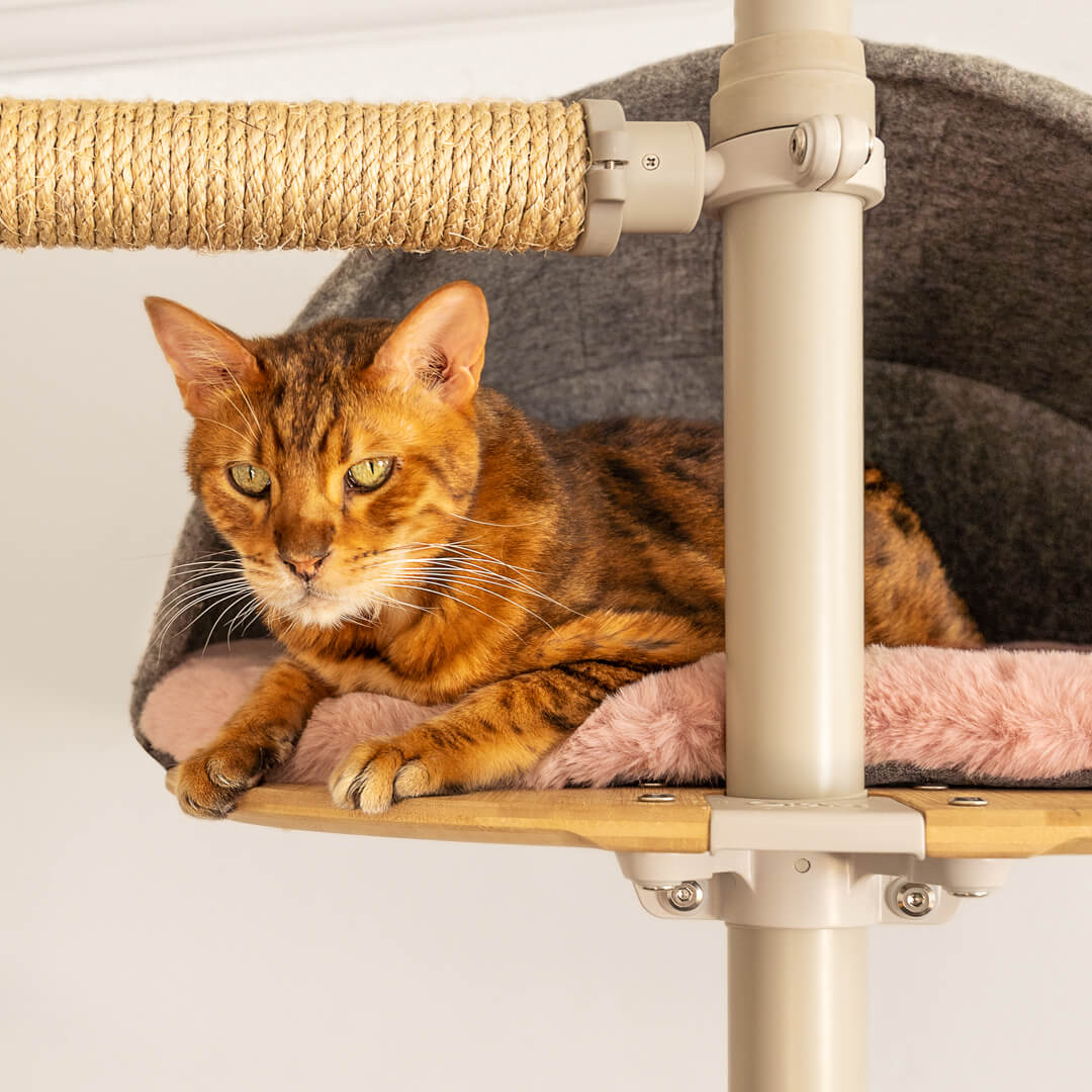 omlet cat tree