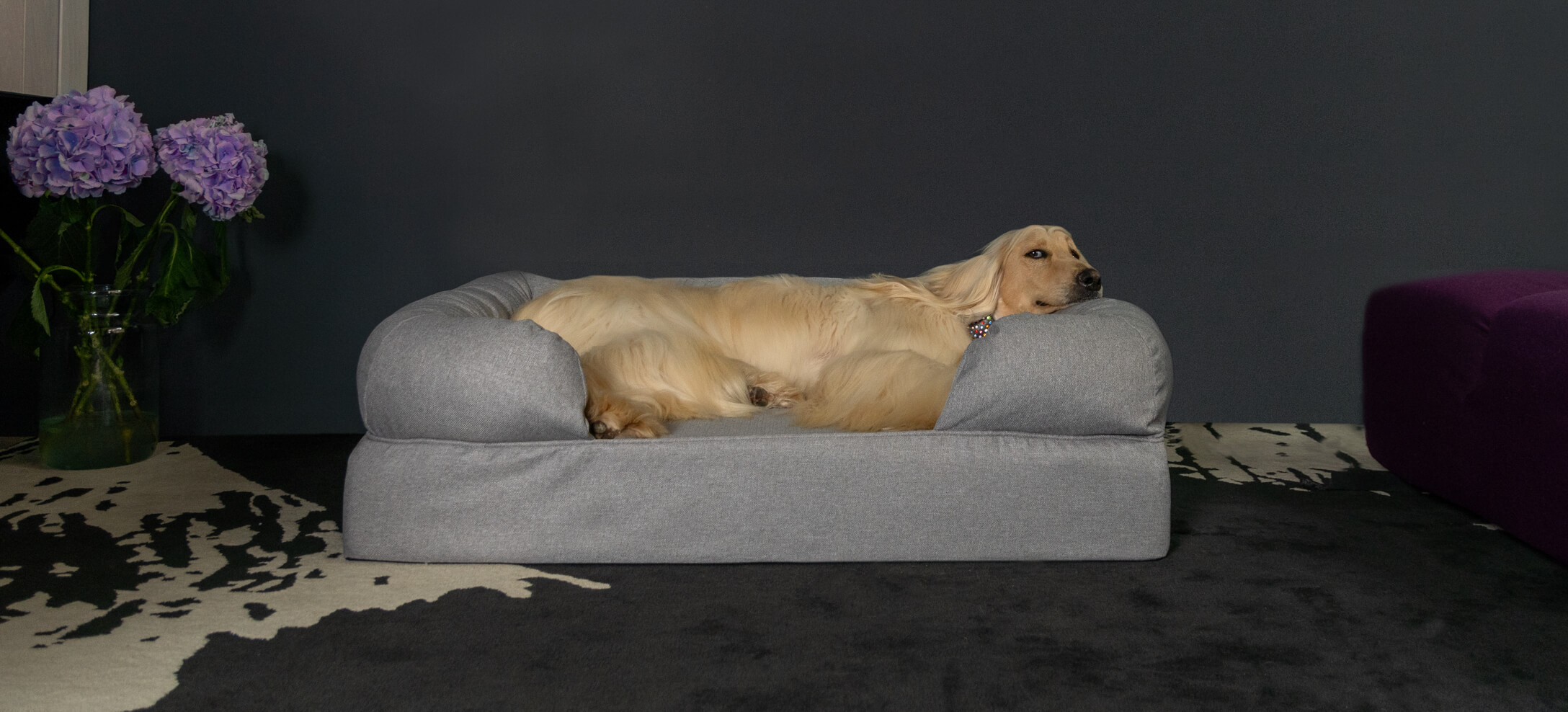 Afghan hound on Omlet's Bolster dog bed