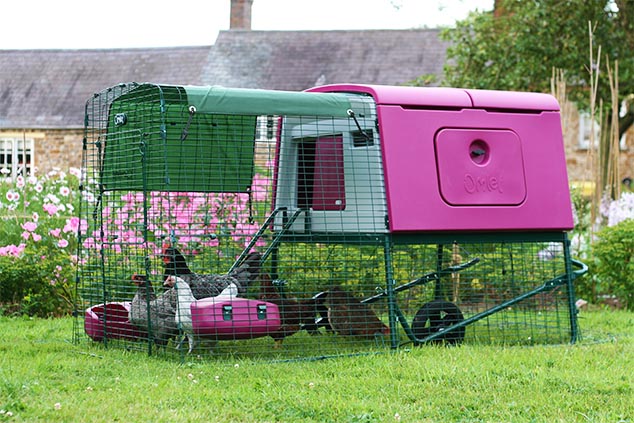 The Eglu Cube chicken house in a garden.