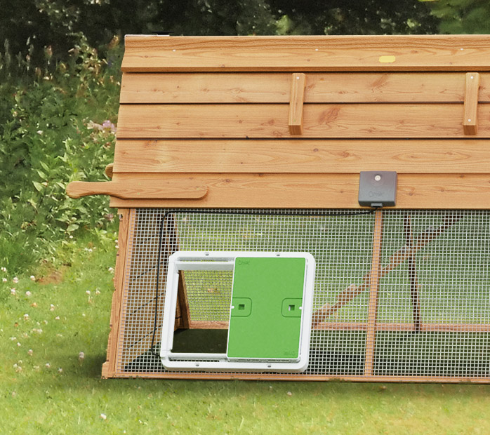 Autodoor on homemade coop