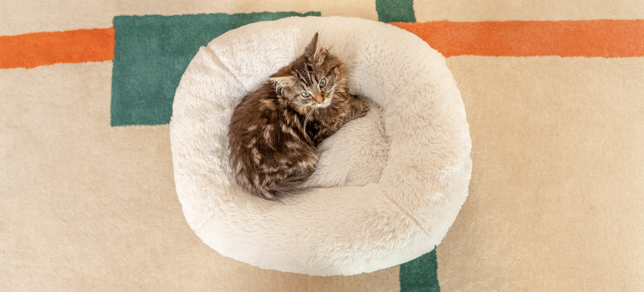 Cat curled up on Omlet’s Maya Donut Cat Bed