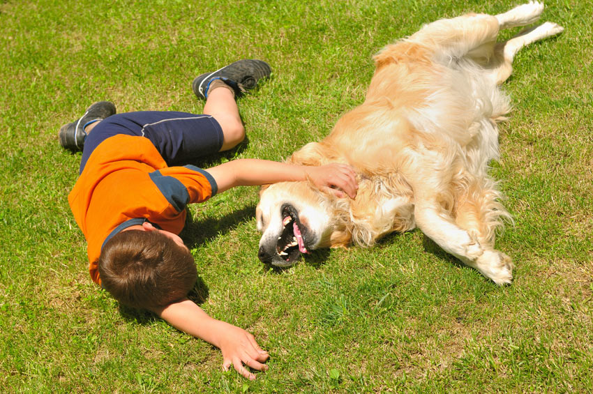 Best of friends - kids and dogs