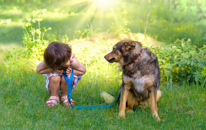 Dog with young girl on a walk