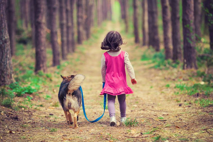 A young girl taking her obedient dog on a walk in the wood