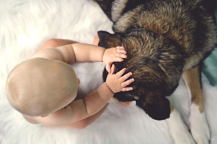 Dog with baby