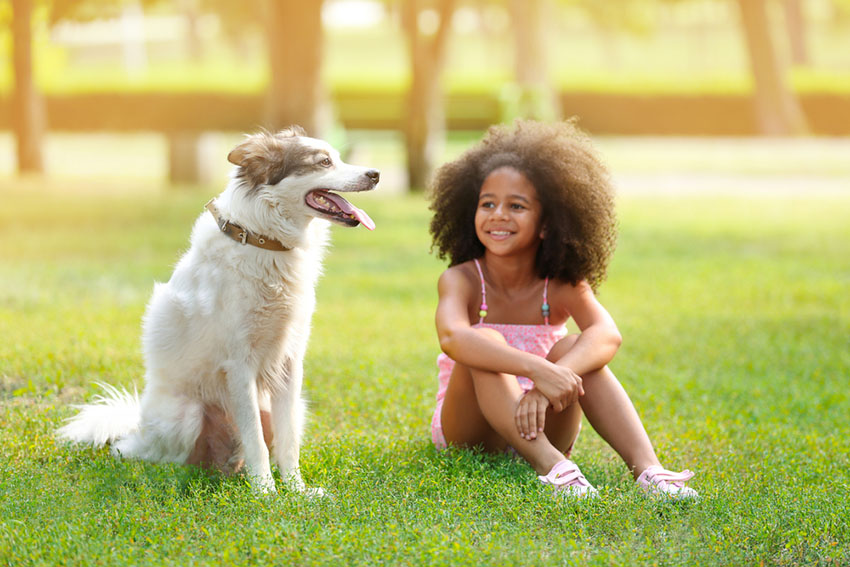 Dog with girl in park
