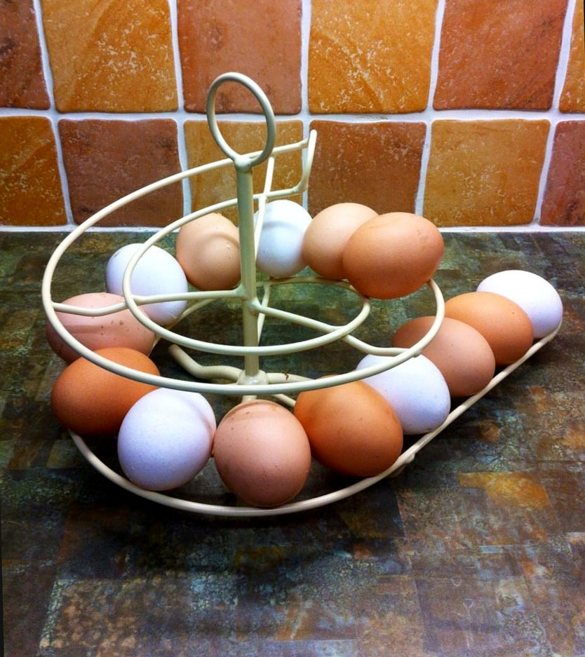 Egg Skelter  Keeps Up to 24 Chicken Eggs in Date Order – Appletons