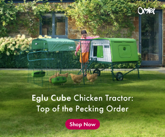 Omlet Eglu Cube Chicken Coop