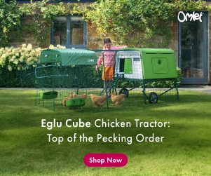 Omlet Eglu Cube Chicken Coop