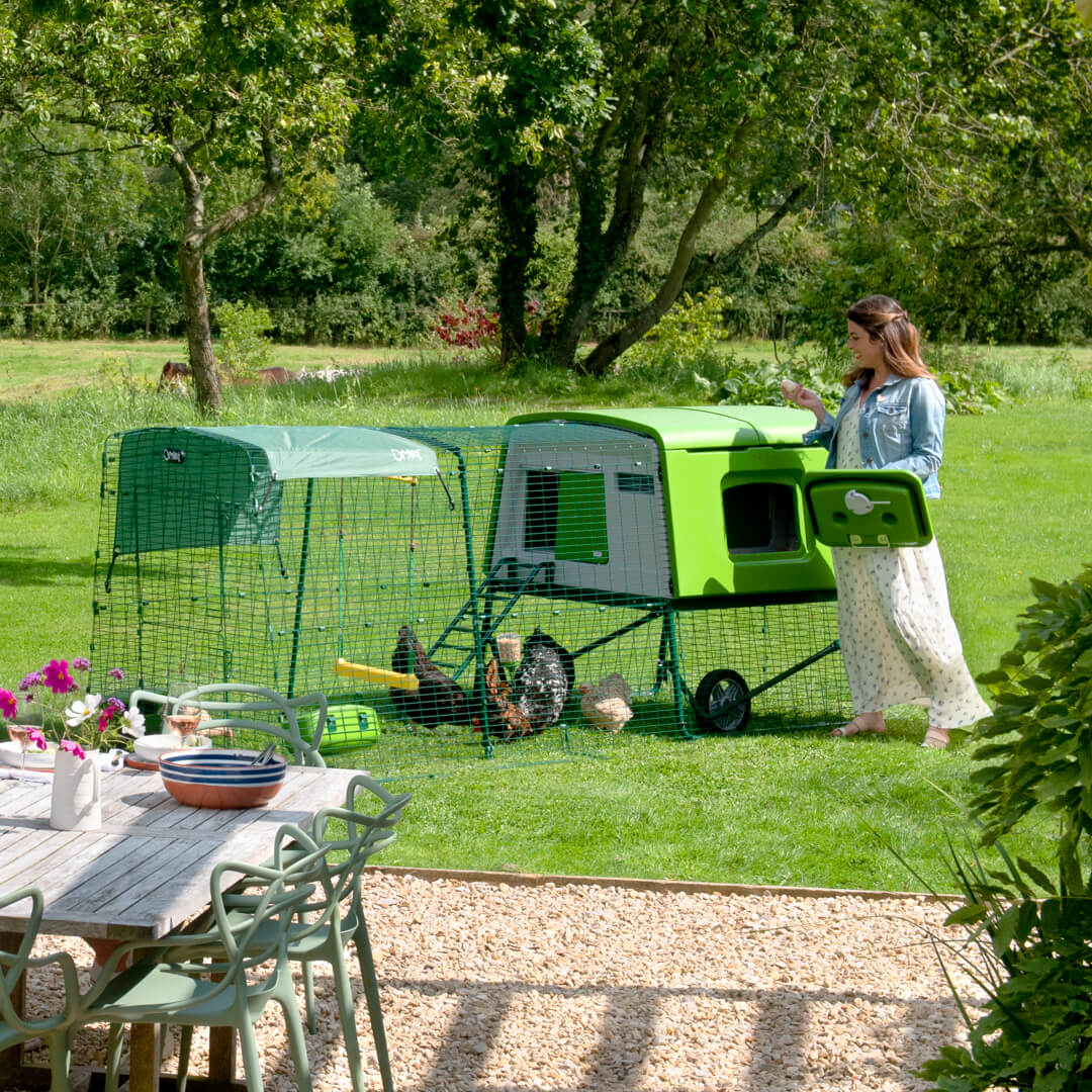 The Eglu Cube coop makes chicken keeping straightforward and fun, perfect for both newbies and advanced hen keepers. The Eglu Cube coop makes chicken keeping straightforward and fun, perfect for both newbies and advanced hen keepers.