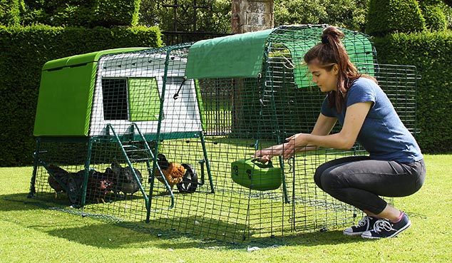 A stable style run door lets you top-up food and drink or let your chickens out to free-range