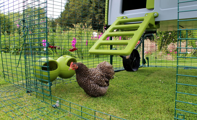 The Omlet Feeders and Drinkers attached neatly to the Eglu Chicken Runs