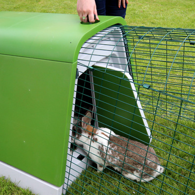 Opening the front door of the Eglu rabbit house