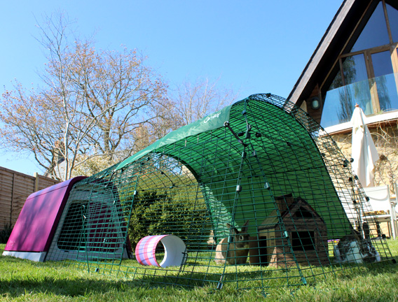 The Eglu Go Rabbit House in a backyard