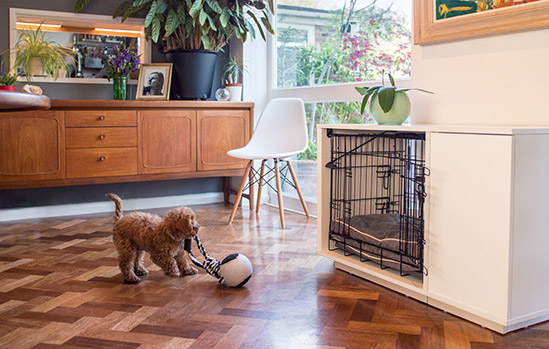 Luxury Dog Crate Comfy Bed Omlet