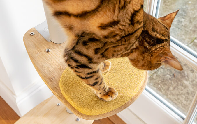 Freestyle cat tree is easy to adjust your Freestyle according to your cats' age and abilities.