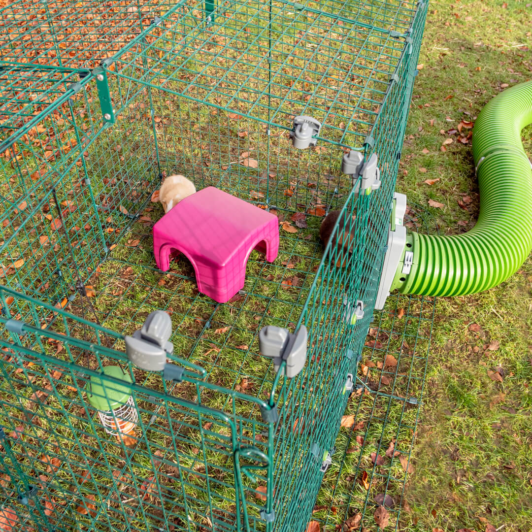 Zippi Guinea Pig Shelter Green Omlet