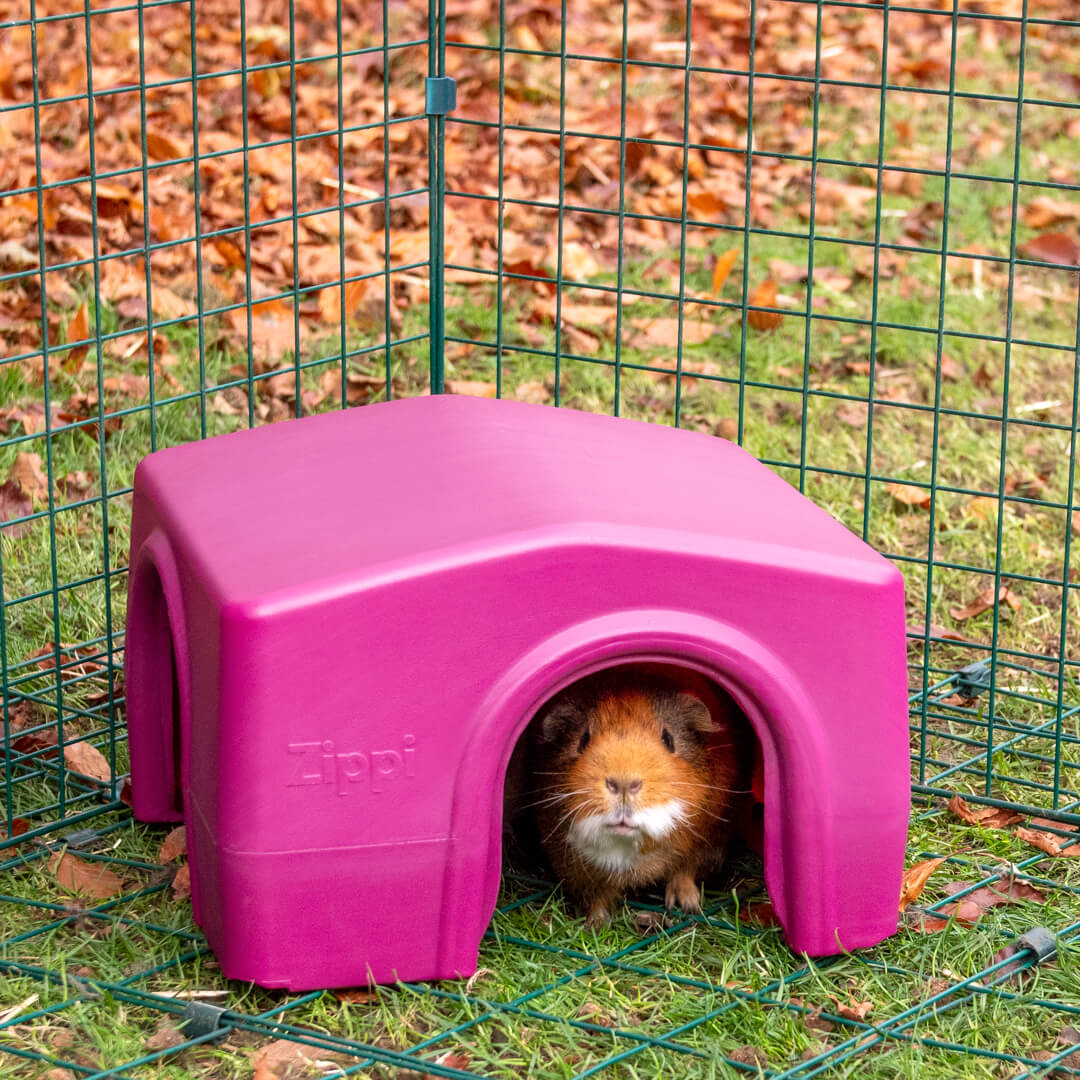 Zippi Guinea Pig Shelter Green Omlet