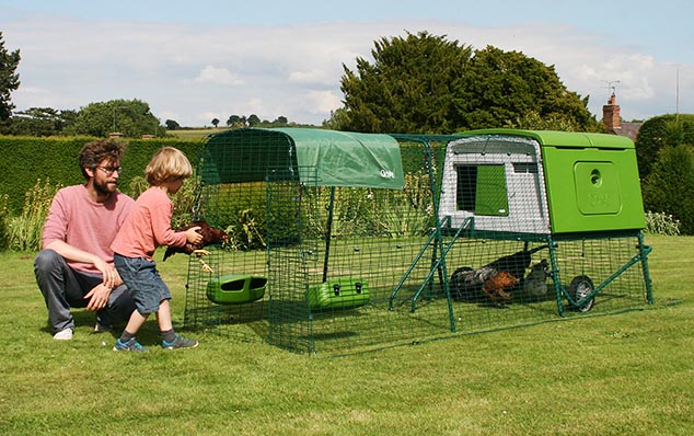 Add run extensions to your Eglu Cube to give your hens more space