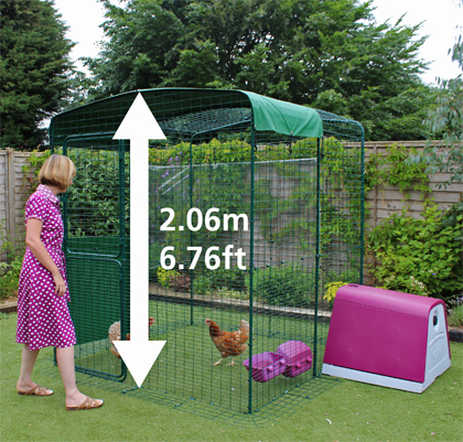 Hi-Rise Walk in Chicken Run.