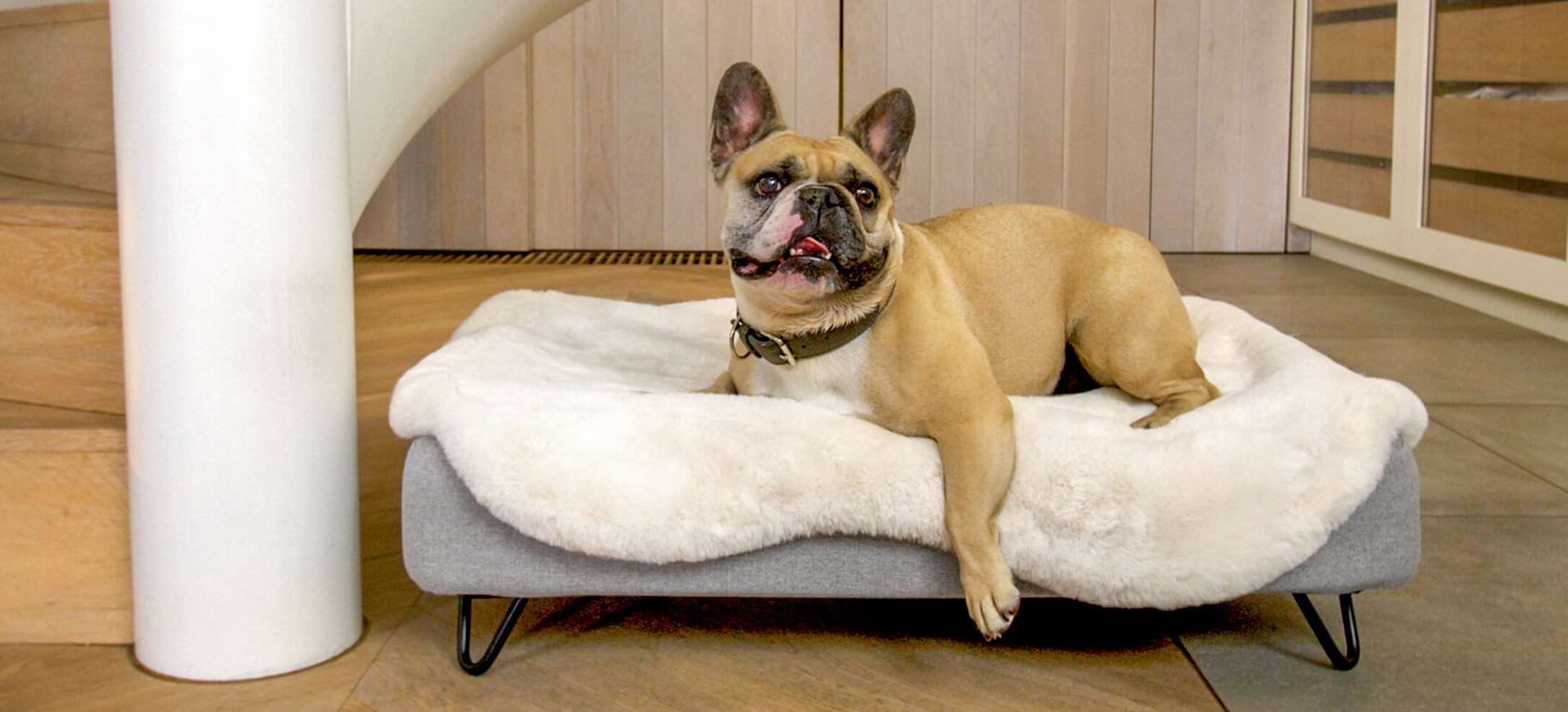 This French bulldog loves their Omlet Topology dog bed with Sheepskin Topper