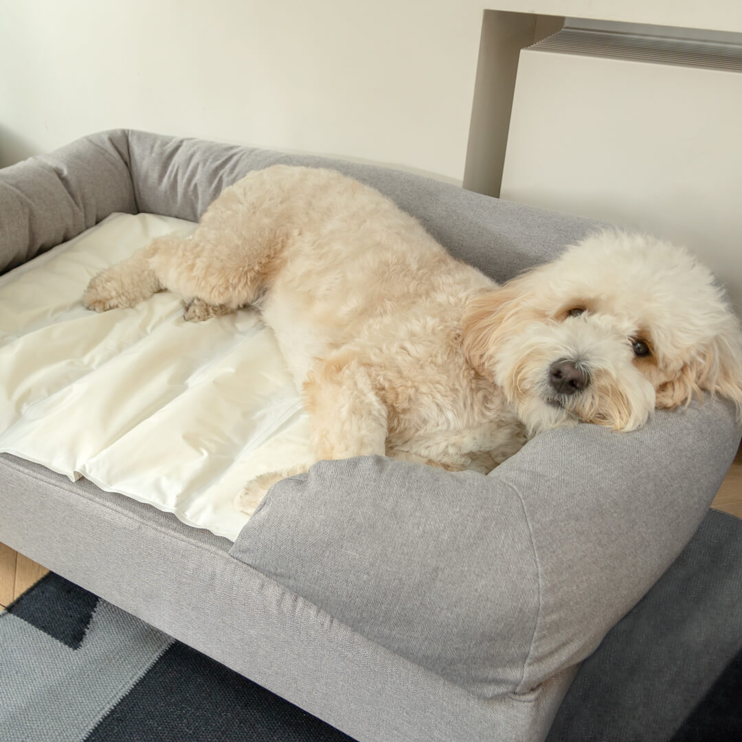 https://www.omlet.us/images/originals/Memory-foam-Bolster-Dog-Bed-accessories-cooling-mat-Omlet.jpg