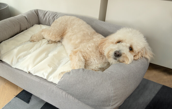 Fit the Cooling Mat on Top for a Sweat Free Summer