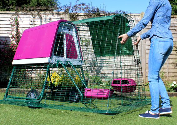 Moving the Eglu Go UP chicken house and run using the wheels.