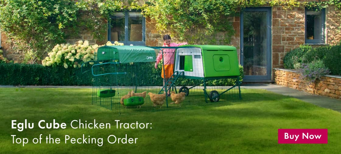 Omlet Eglu Cube chicken coop