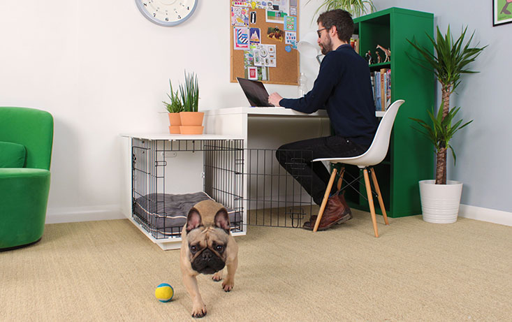 Fido Studio 24 Dog Crate Walnut