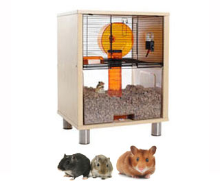 Birch Qute Hamster and Gerbil House