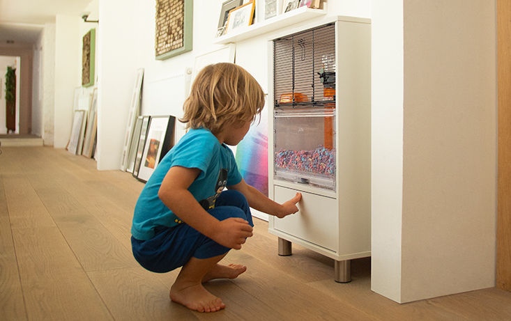 modern hamster house